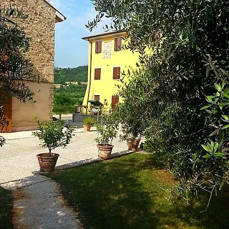 Corte Del Bosco